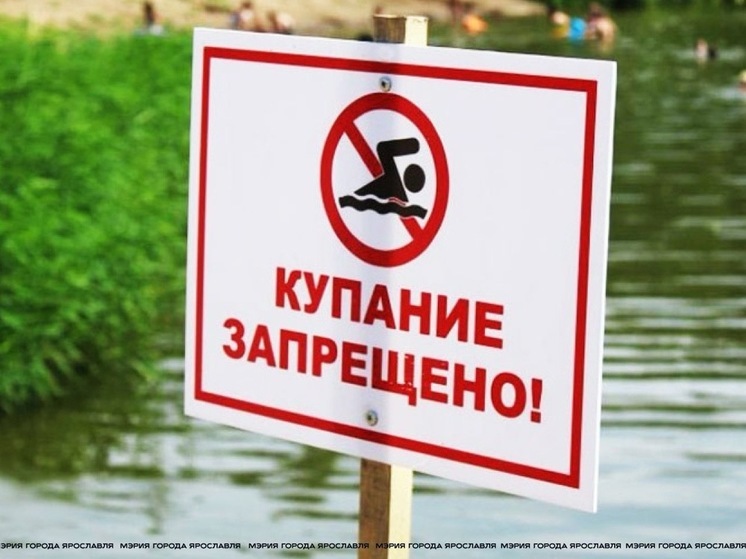 Жителям Тутаева запретили купаться в Волге