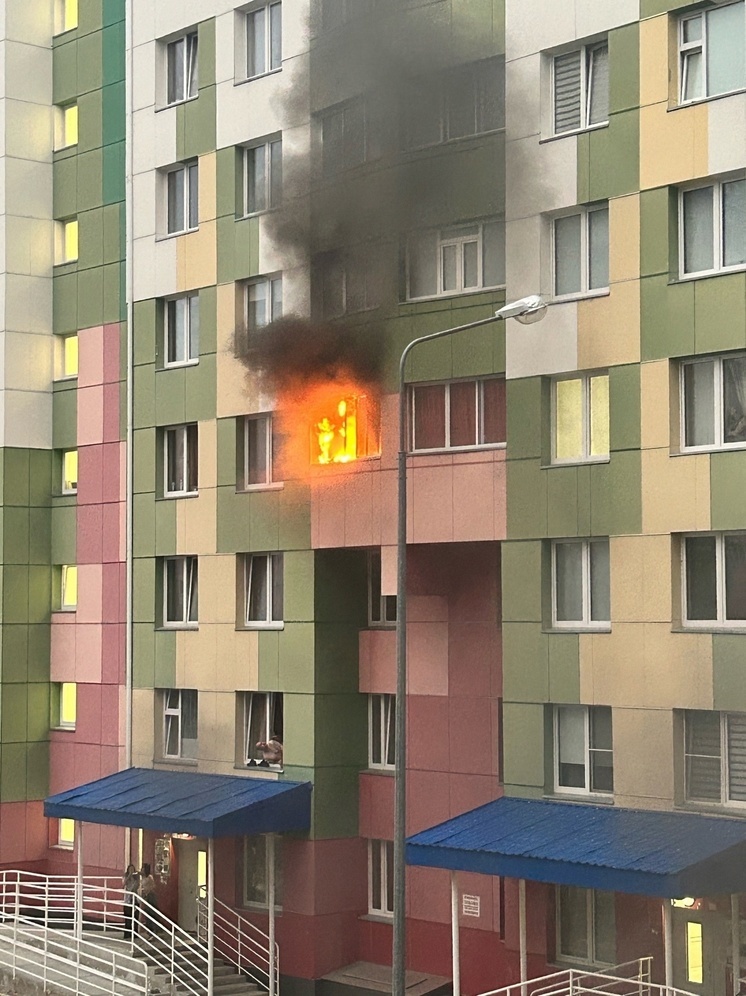 Пожарные спасли кота из горящей квартиры в Ноябрьске
