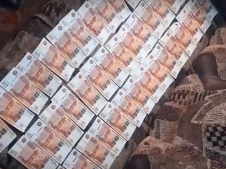 Курские полицейские вычислили воровку 700 тысяч рублей по носовому платку