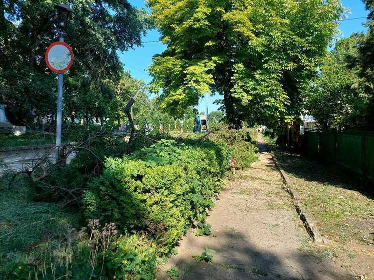 В станице Староизобильной на Ставрополье появится парковая зона