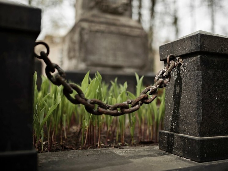 В Горняке вандалы осквернили могилы на старом кладбище