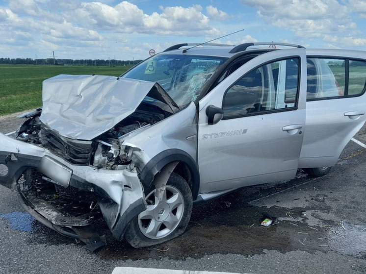 При столкновении двух легковушек в Пителинском районе пострадал водитель Renault