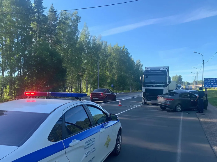 Машины «Киа» и грузовое авто столкнулись под Лугой