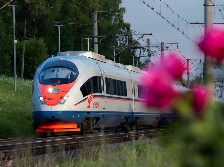 Между Петербургом и Москвой запустили дополнительные рейсы «Сапсанов»