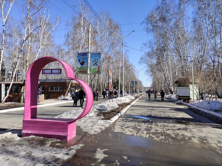 У ООО «Кедр» хотят забрать участки в парке имени 30-летия ВЛКСМ в Омске