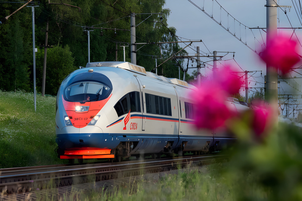 Между Петербургом и Москвой запустили дополнительные рейсы «Сапсанов» - МК  Санкт-Петербург