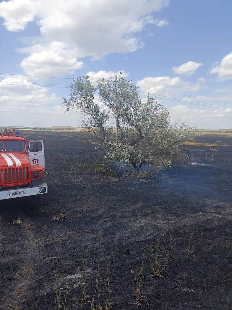 Два загоревшихся пшеничных поля потушили ставропольские спасатели