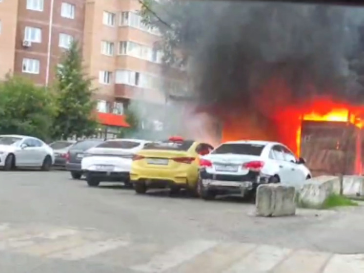 Несколько машин обгорели в Подольске во время пожара на мусорнике