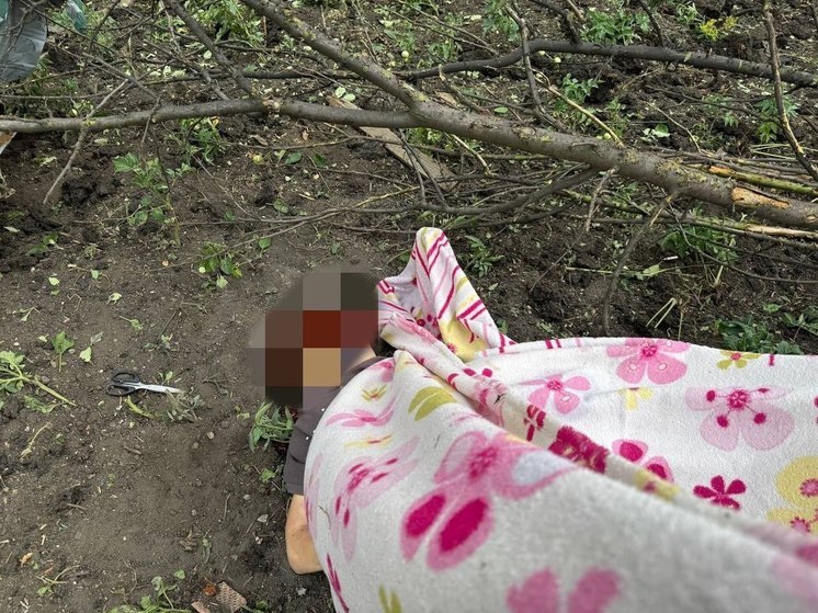 В ходе обстрела со стороны ВСУ погибла мирная жительница Горловки