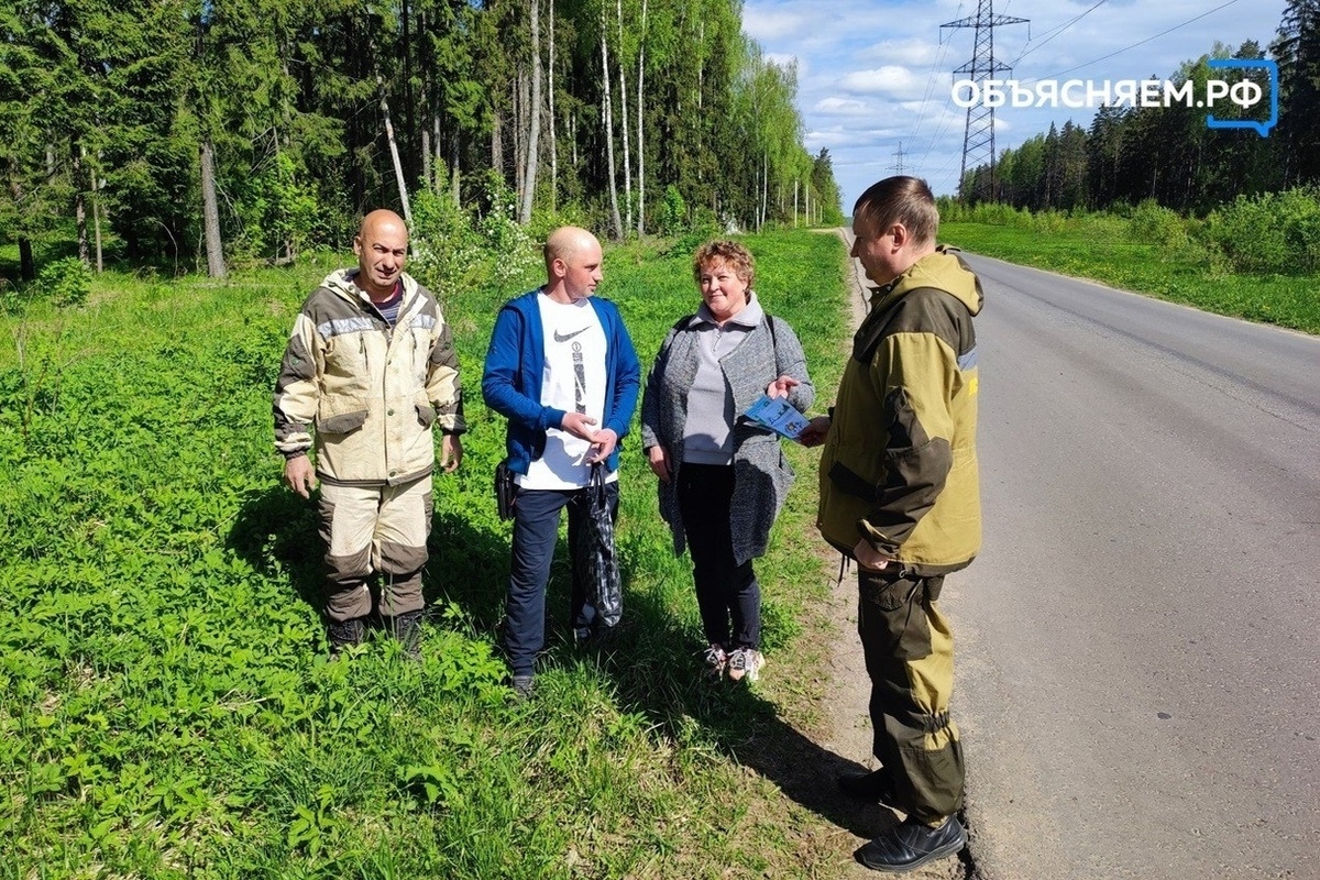 Смоленская служба леса вошла в десятку лучших в России - МК Смоленск