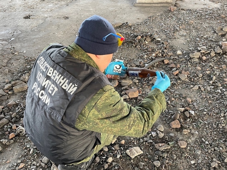 В Туве пенсионерка  признана виновной в совершении убийства знакомого