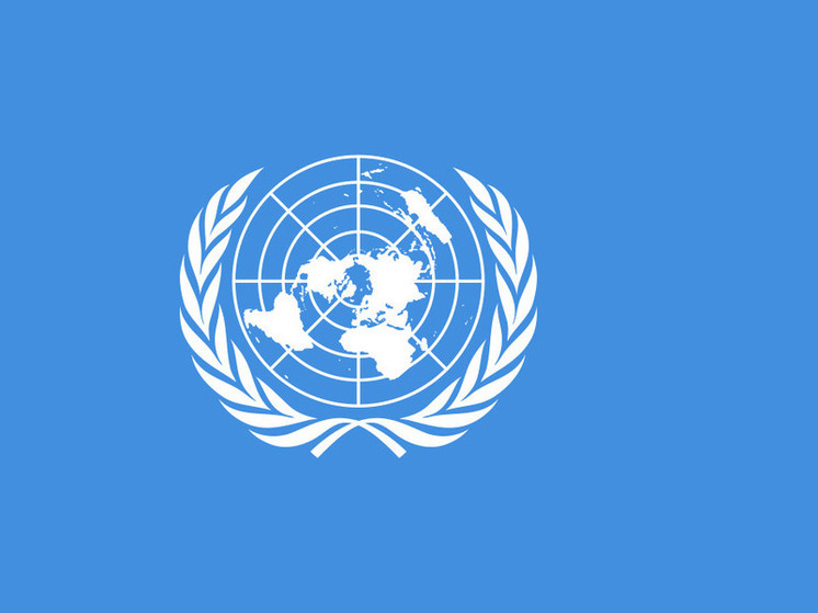 Совбез ООН решительно осудил теракты в Дагестане