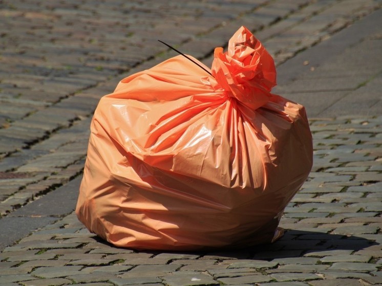 Прокуратура Ленинградской области проверяет вывоз мусора в поселка Мга