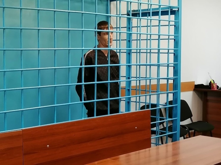 Напавшего на женщину-почтальона мужчину осудили в Чите