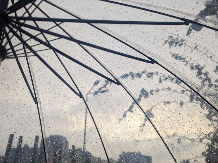 В Хакасии ожидаются небольшие дожди, грозы и до +26 градусов