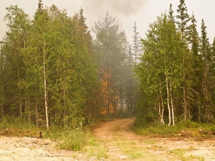 В Красноселькупском районе полыхают 35 гектаров леса