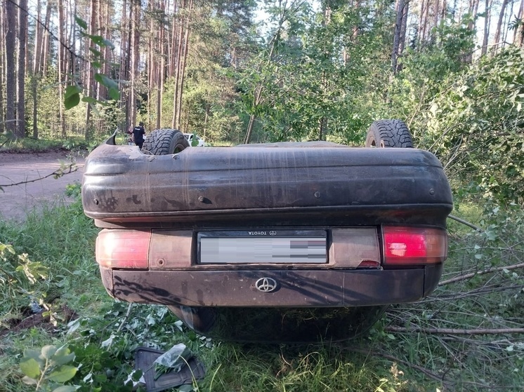 В Тверской области произошло смертельное ДТП