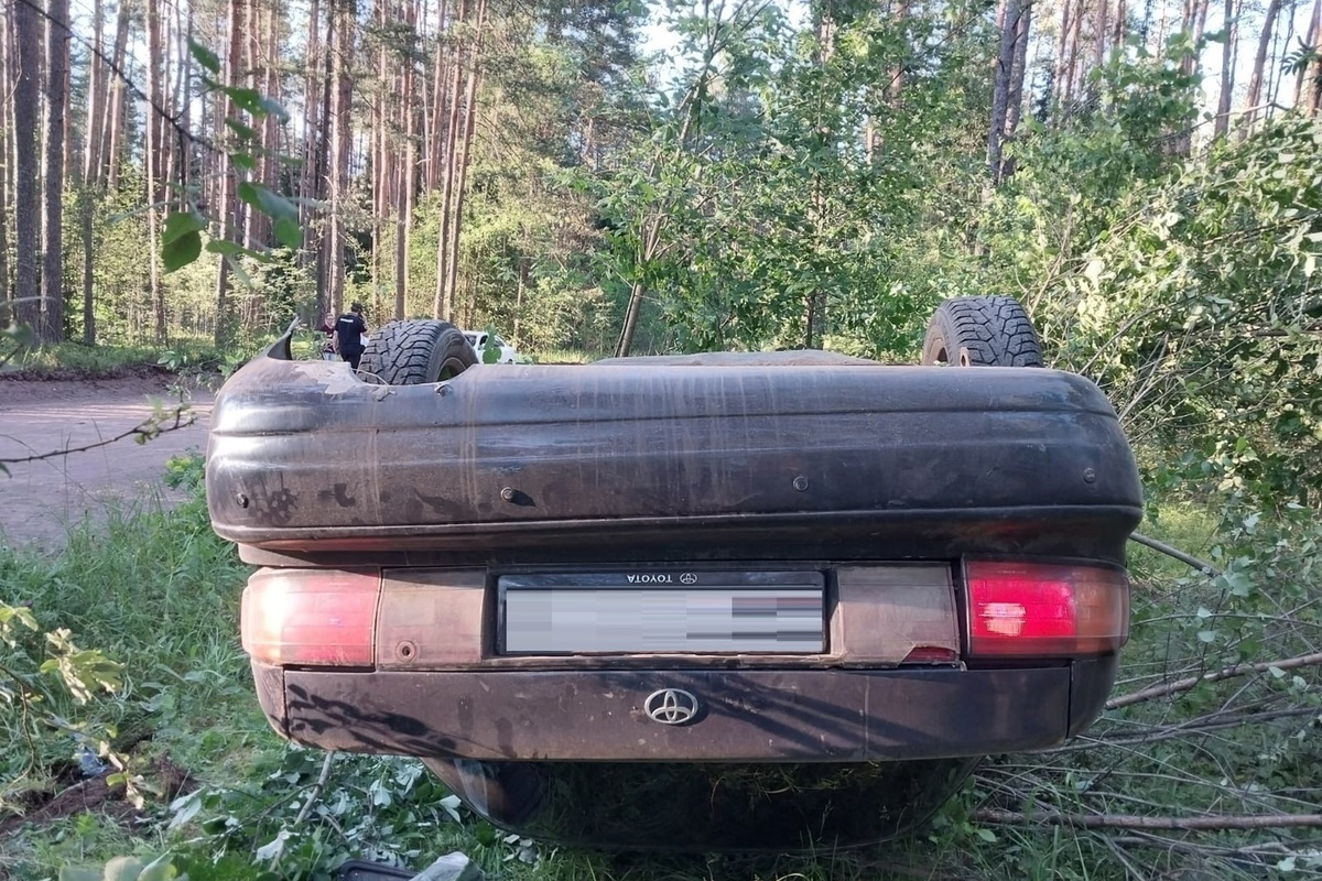 В Тверской области произошло смертельное ДТП - МК Тверь