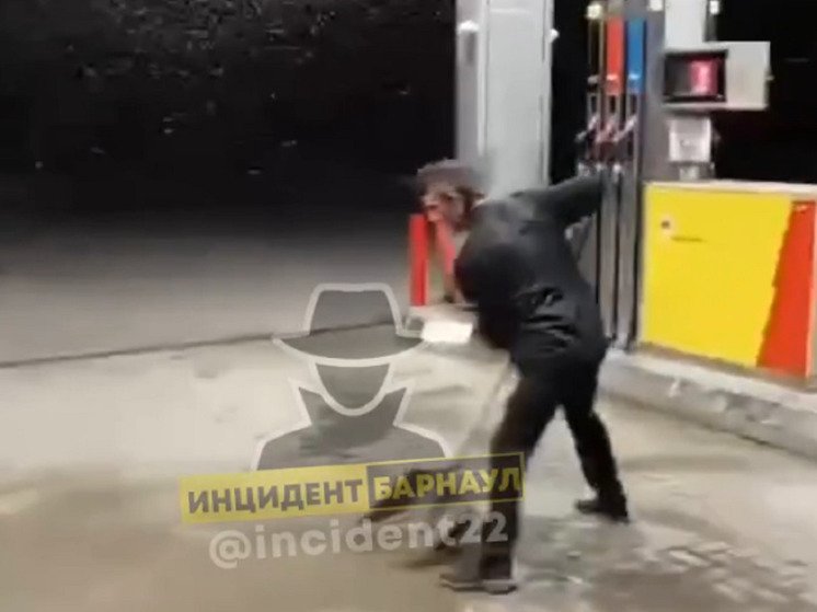 Жители алтайского села рассказали о полчищах неизвестной мошки