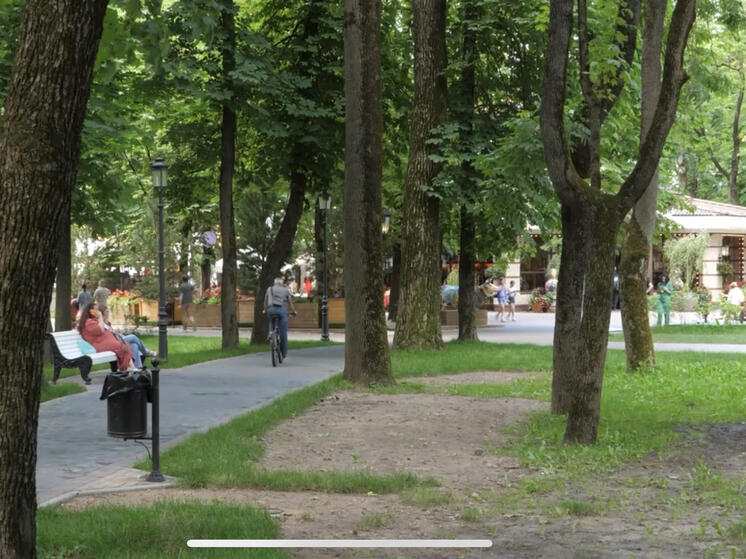 В саду "Блонье" неизвестные сломали качели и разрисовали скамейки