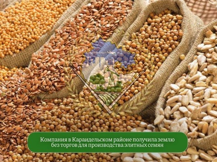 Инвестор получил в Башкирии без торгов землю для выращивания элитных семян