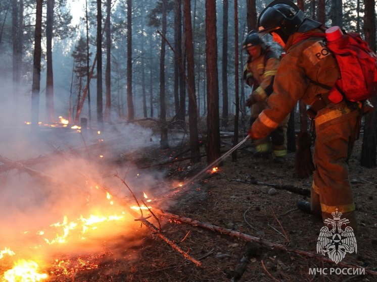 58 лесных пожаров действуют в Забайкалье