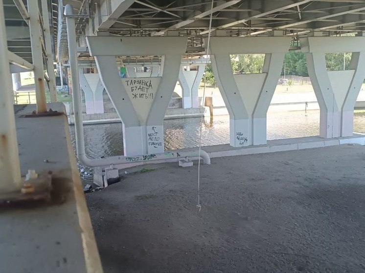 В Калининграде в очередной раз срезали тарзанку под эстакадным мостом на острове