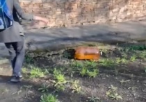 «Окружающие могут принять это за теракт, налеты, обстрел»