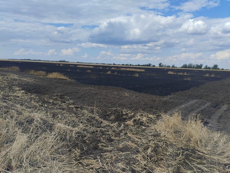 ВСУ вновь атаковали дронами Каховский округ: сгорело поле пшеницы