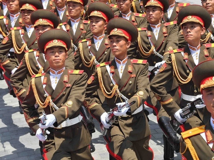 В Южной Корее посчитали доход солдат Корейской народной армии в зоне СВО