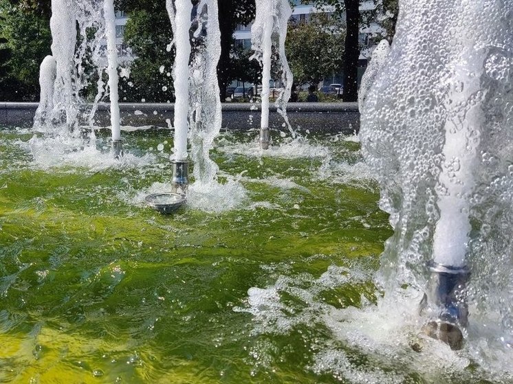 До конца года в Петербурге восстановят еще 21 фонтан
