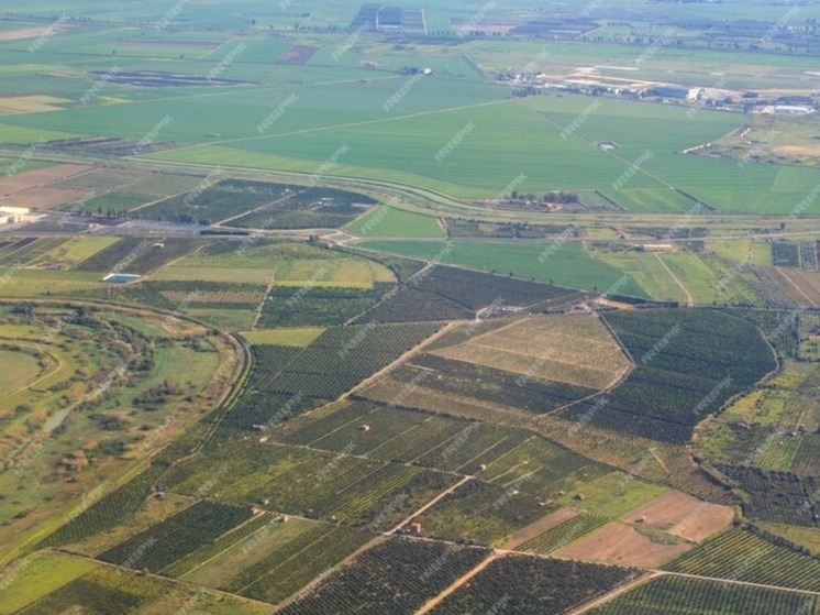 В Нижних Серогозах проводится инвентаризация земель