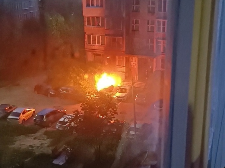 На улице Берёзовой в Рязани неизвестный поджёг автомобиль