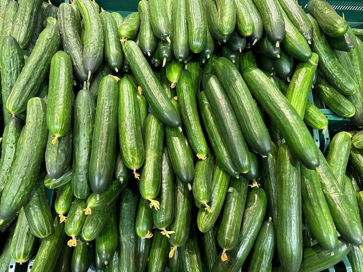 За неделю огурцы в Тульской области стали дороже на 8%