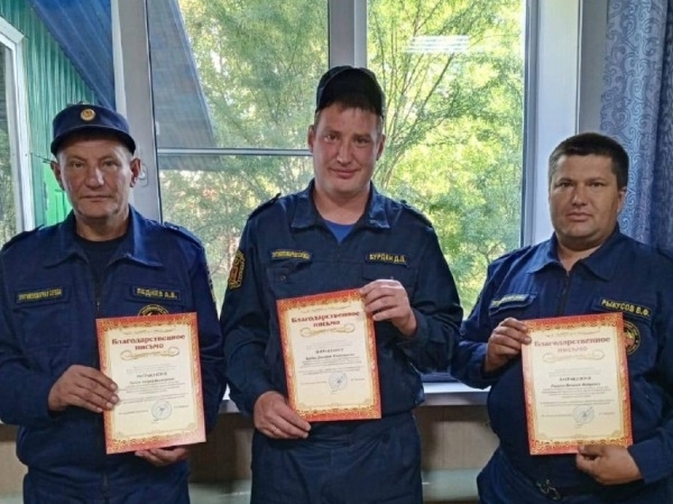 Пожарных наградили за спасение 25 человек в Забайкалье