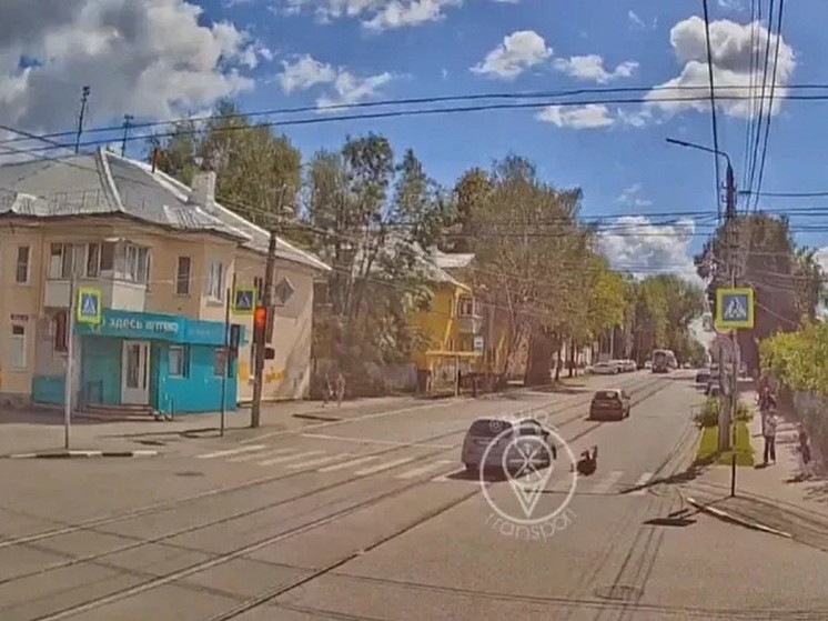 На пешеходном переходе на улице Мира в Туле сбили пенсионерку