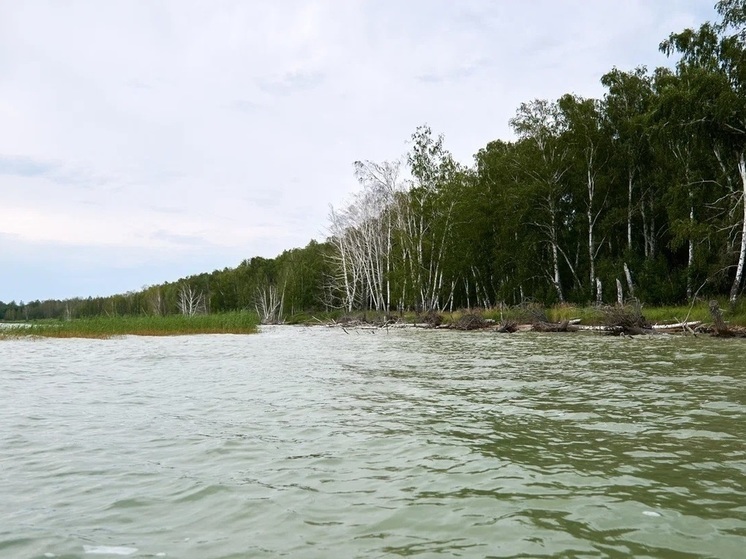 Мужчина утонул в протоке реки Кеть в Томской области