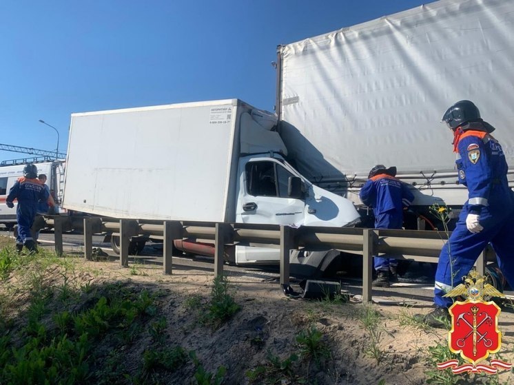 В Тосненском районе водитель «Газели» протаранил грузовик и погиб на месте