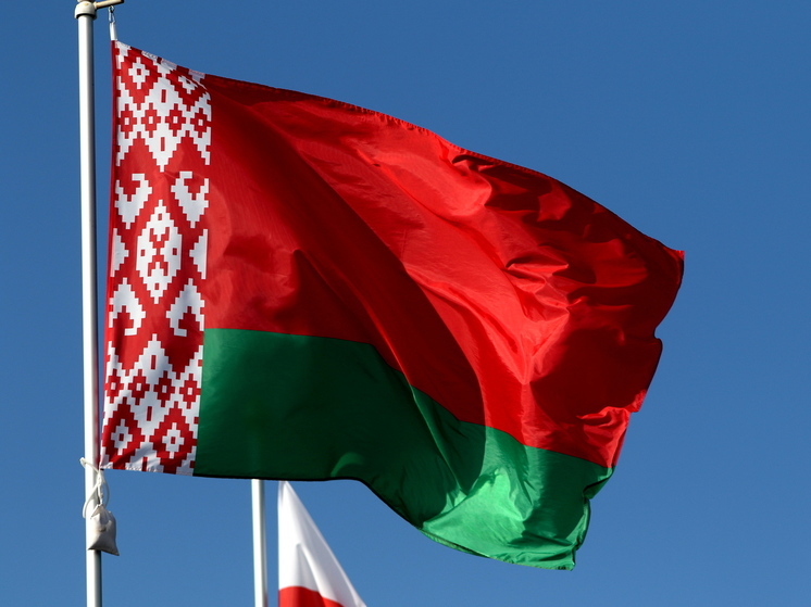 Госпогранкомитет Белоруссии обнаружил схрон со взрывчаткой около границы