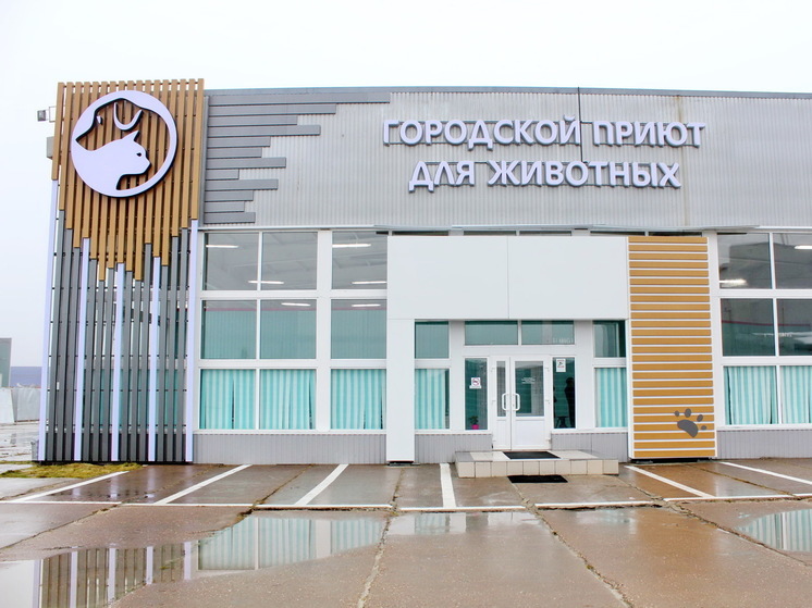 Редакция «МК Ямал» получила из администрации Ноябрьска ответ на запрос прокомментировать ситуацию в городском приюте