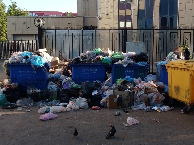 Псков завален мусором: в соцсетях горожане делятся фотографиями грязных улиц