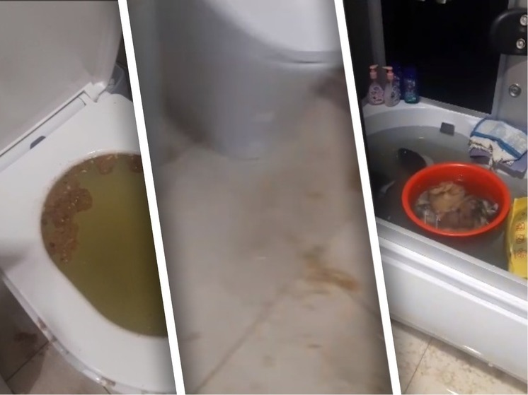  «Фекалии плавают по квартире»: в Новосибирске мать двоих детей 11 раз топило из-за дефектов канализации