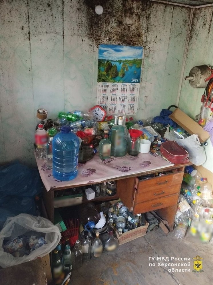 У жительницы Херсонской области изъяли более 500 литров самогона