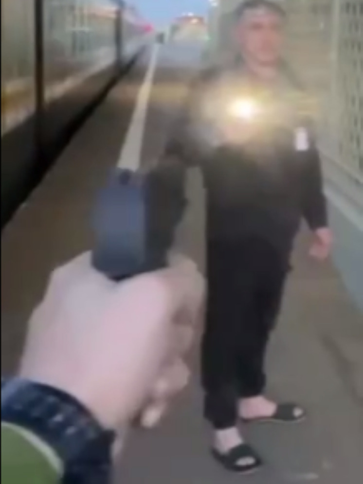 На станции Львовская хулиганы угрожали оружием охраннику и машинисту