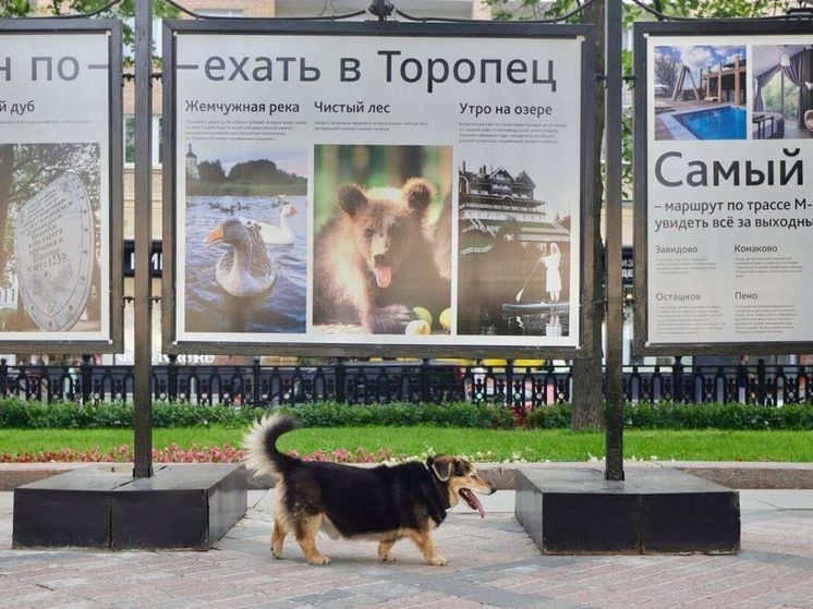 Интересными фактами о Торопце делятся на выставке в центре Москвы