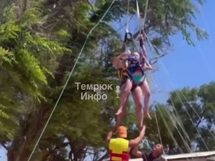 В Темрюкском районе туристы на парашюте запутались в кроне дерева. Видео