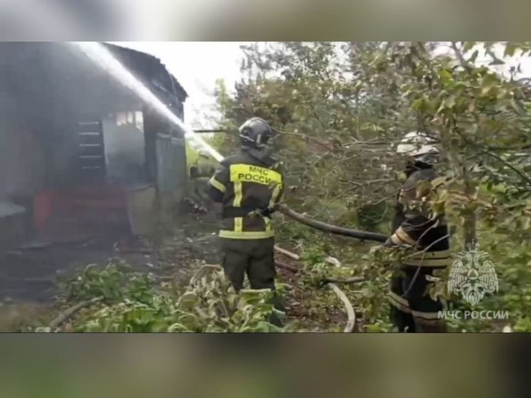 В Пензенской области из-за пожара погиб 46-летний мужчина
