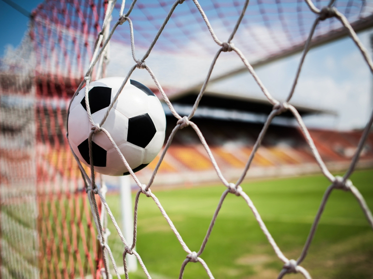 К проекту «Футбол в школе» присоединятся еще 9 учреждений Орла