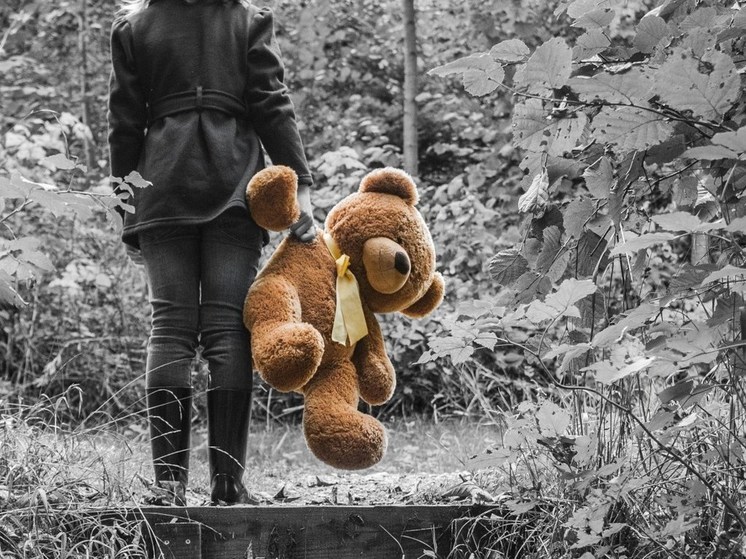 Российский сапер рассказал, как нашел на оставленной ВСУ территории плюшевого зайца