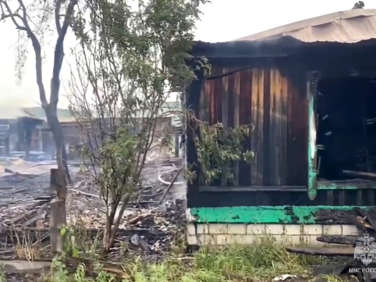 Пожар уничтожил дом многодетной семьи в Приамурье